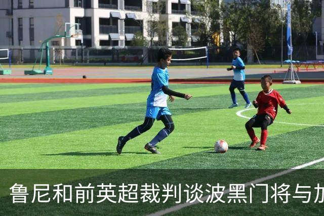 鲁尼和前英超裁判谈波黑门将与加拿大前锋碰撞：不是点球不是红牌